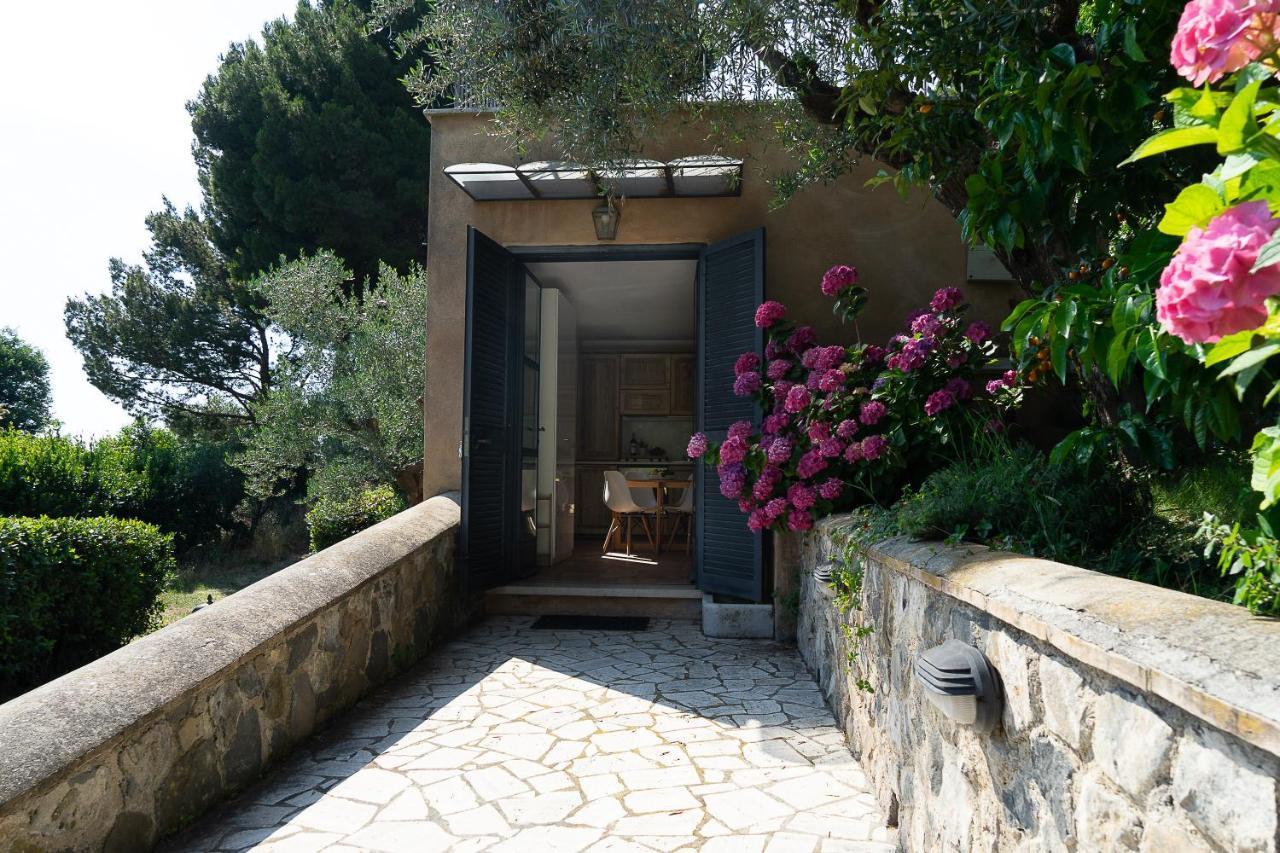 Frascati Country House Grottaferrata Dış mekan fotoğraf