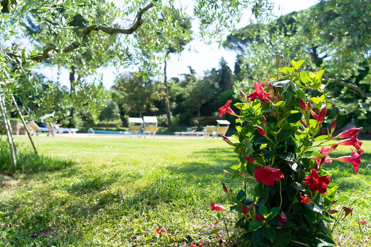 Frascati Country House Grottaferrata Dış mekan fotoğraf